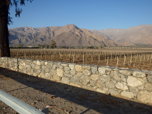 As we depart Cafayate on Ruta 40 we see many Bodegas/Wineries.